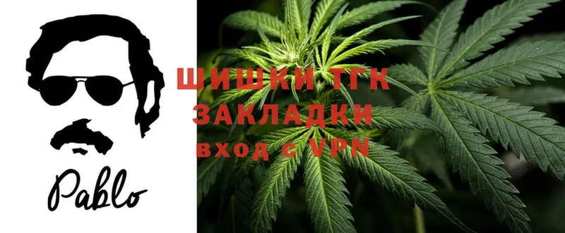 где найти   Нестеровская  Конопля SATIVA & INDICA 